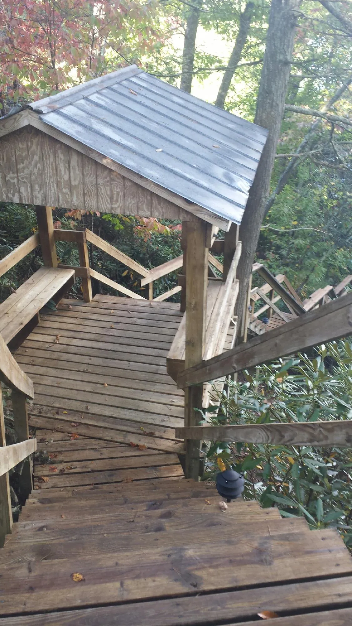 Metal roofed shelter over wooden steps on a wooded walkway — Skylight Repair & Installation work by our crew in Waitsburg